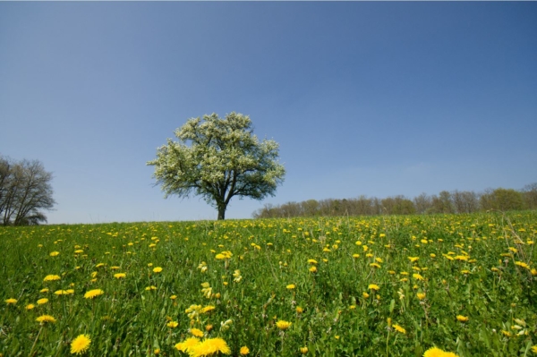 Naturlandschaft im Schweinfurter OberLand