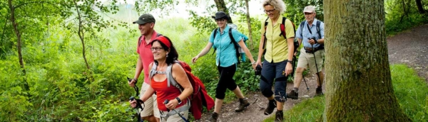 Wandern rund um den Ellertshäuser See