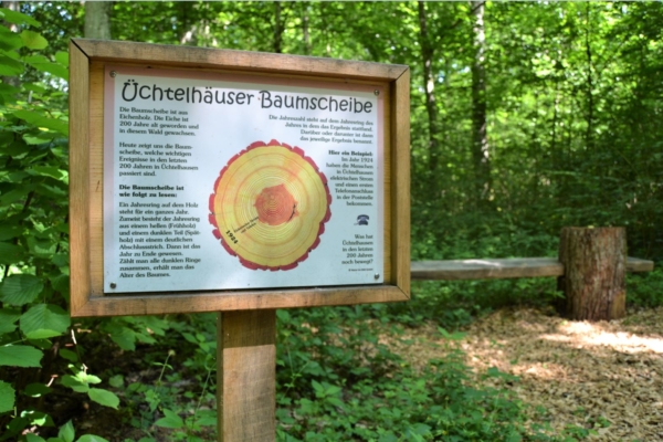 Baumscheibe Dorfgeschichte